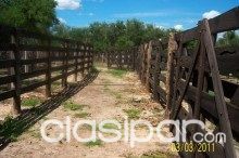 VENDO ESTANCIA A 200 KM AL NORTE DE LOMA PLATA — foto 3
