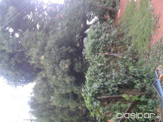 Remató casa!!!!!! — foto 3