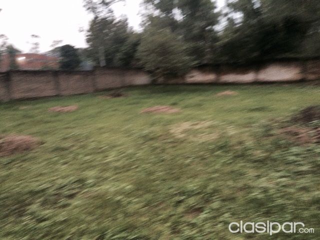 VENDO CASA EN MARIANO — foto 3