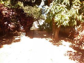 Oferto Casa en Fernando Zona Sur a cuadras de 11 de septiembre y pitiantuta 640mt2 60x13mts — foto 2