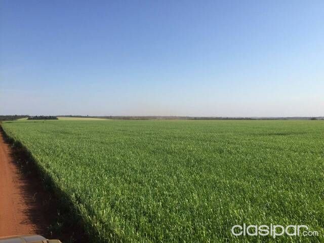 Vendo hermosa propiedad de 2258 hectareas — foto 2