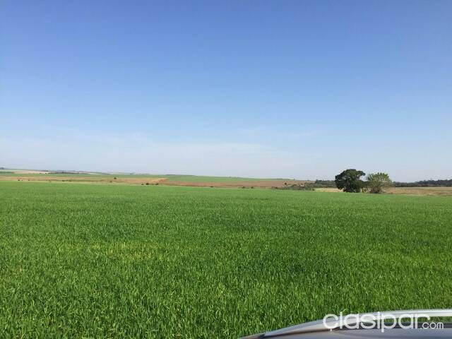Vendo hermosa propiedad de 2258 hectareas — foto 3