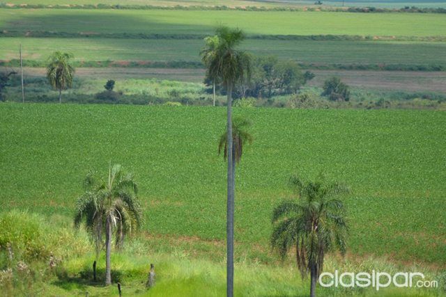 PROPREIEDADE DE 72 HECTAREAS COLONIA IGUASU — foto 2