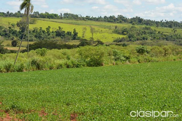 PROPREIEDADE DE 72 HECTAREAS COLONIA IGUASU — foto 3
