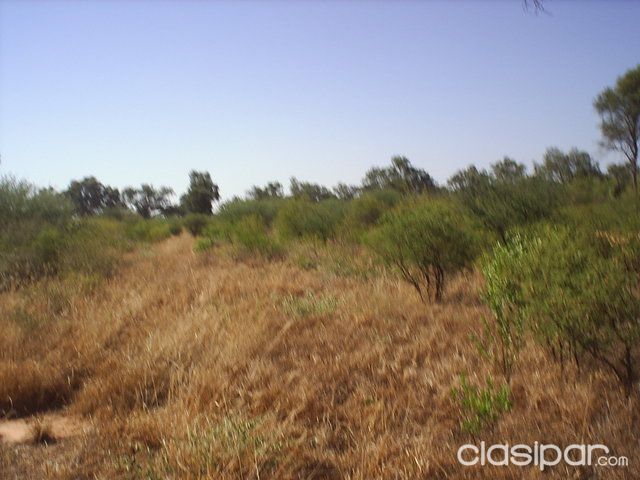 Total o parcial campo de 8.000.- hectareas. — foto 3