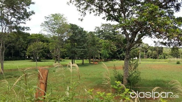 CASA QUINTA terreno de 3 htas, BIEN NATURAL, FRENTE A RUTA ASFALTADA EN CAPIATA — foto 2
