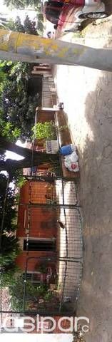 Vendo amplia casa en Fdo de la Mora zona sur — foto 2