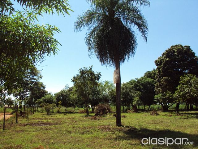 Vendo Hermosos Terreno — foto 3