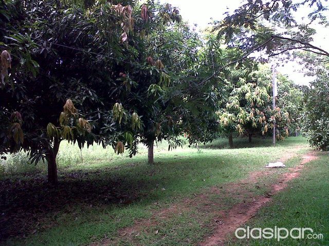 Vendo Hermosa Casa Quinta en Yaguaron — foto 3