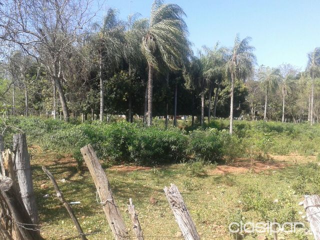 Super Oferta Terreno en Luque! — foto 2