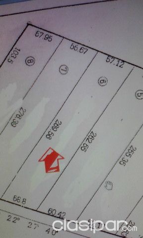 vendo terreno en caaguazu en la entrada de cantera boca a 1000 mts de la ruta principal — foto 2