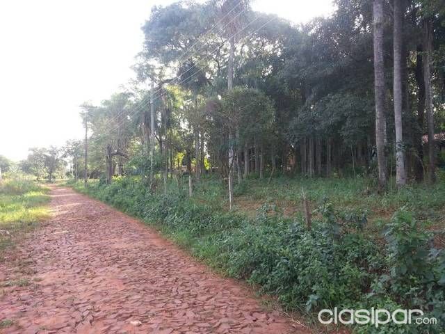 Vendo 10 lotes juntos y 1 suelto — foto 2