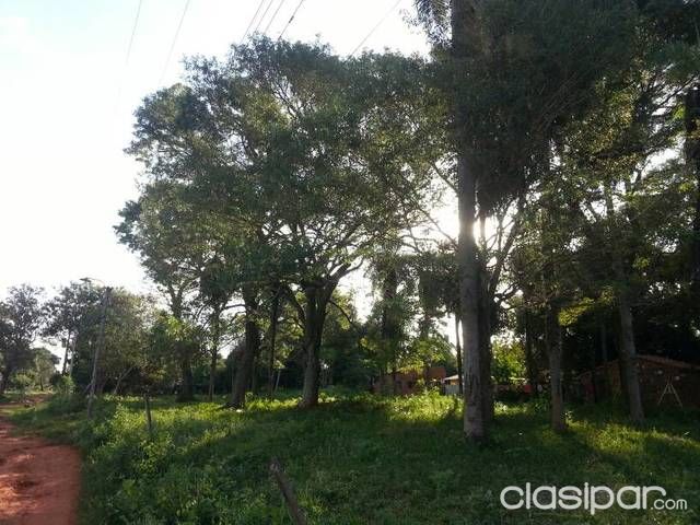 Vendo 10 lotes juntos y 1 suelto — foto 3