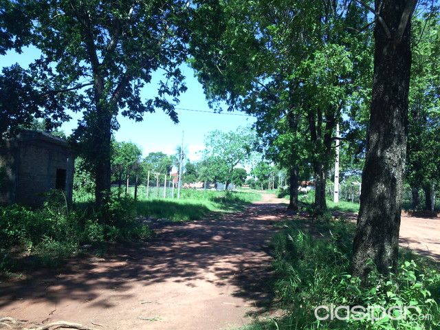 REMATO 2 TERRENOS EN KM 18 A 150 DE ASFALTO — foto 2