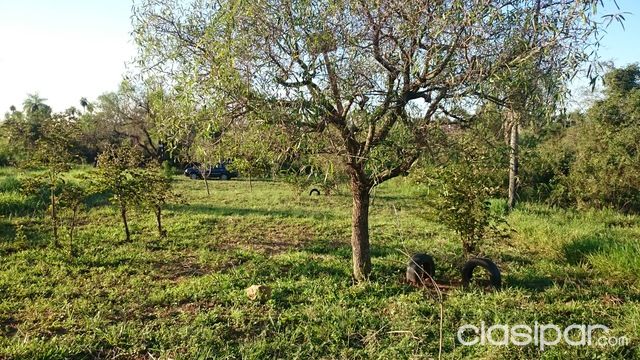OFERTO TERRENO EN J.AUGUSTO SALDIVAR Km 23 — foto 3