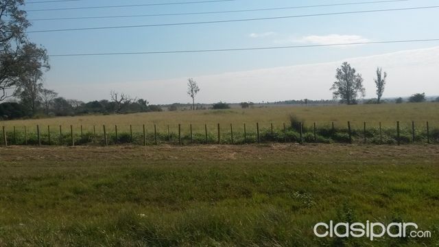 *OFERTA**VENDO PROPIEDAD 220 has. TIERRA COLORADA**** — foto 2