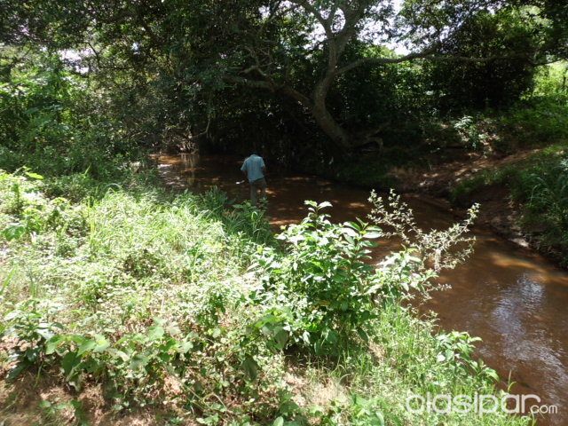 vende 26 ha — foto 2