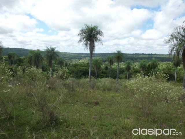 vende 26 ha — foto 3