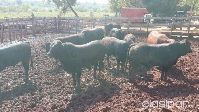 Estancia formada en santa rita — foto 2
