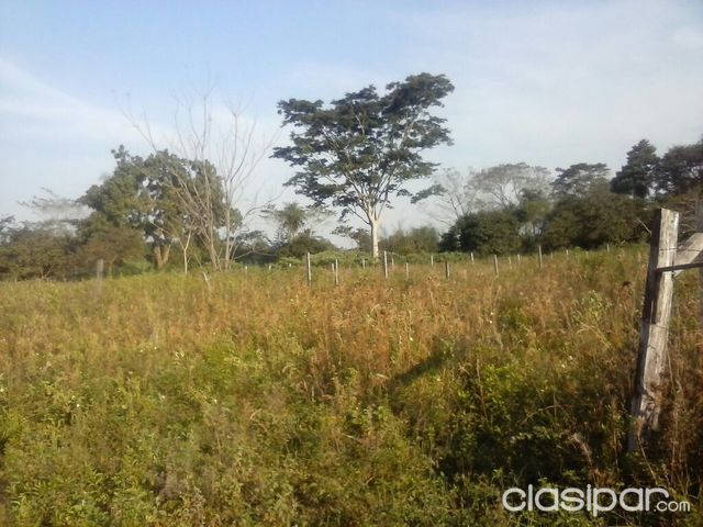 sin titulo — foto 2