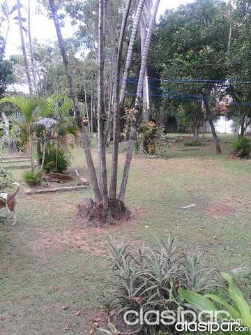 vendo 2 hermosos terrenos juntos.!! en asuncion tierra nivelada y virgen.!! especial para invercionistas zona ita enramada — foto 3