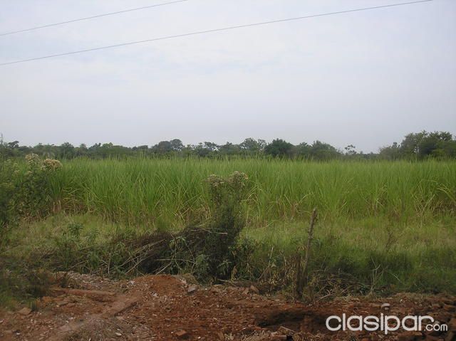 TERRENO 40 has EN GUARAMBARE — foto 2