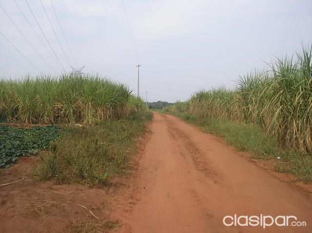 TERRENO 40 has EN GUARAMBARE — foto 3