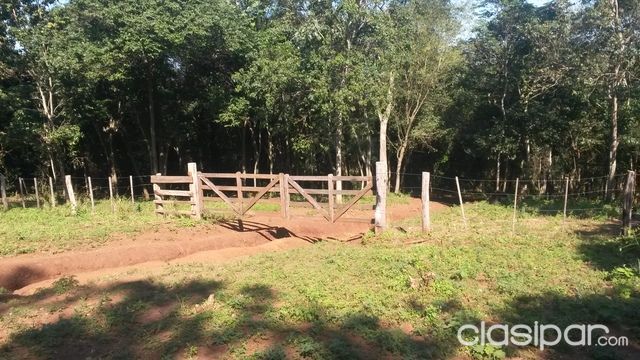 OFERTA: VENDO ESTANCIA FORMADA-ZONA CARAYAO (CAAGUAZU) — foto 2