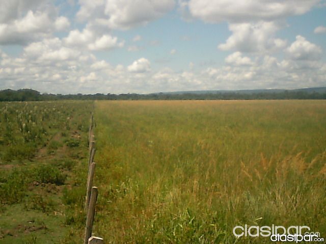 Vendo hermoso campo con arroyo y mina de puzolana — foto 3