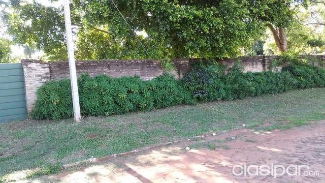 Hermosa propiedad en Luque-Laurelty — foto 2