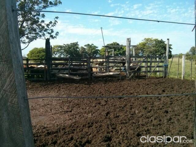 Hermosa propiedad en Escobar — foto 3