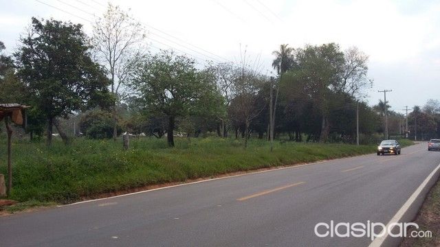 VENDO TERRENO 4.590 mts.2 SOBRE RUTA ASFALTADA LUQUE — foto 2