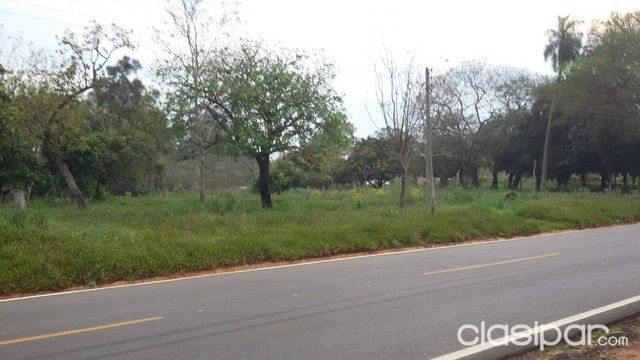 VENDO TERRENO 4.590 mts.2 SOBRE RUTA ASFALTADA LUQUE — foto 3