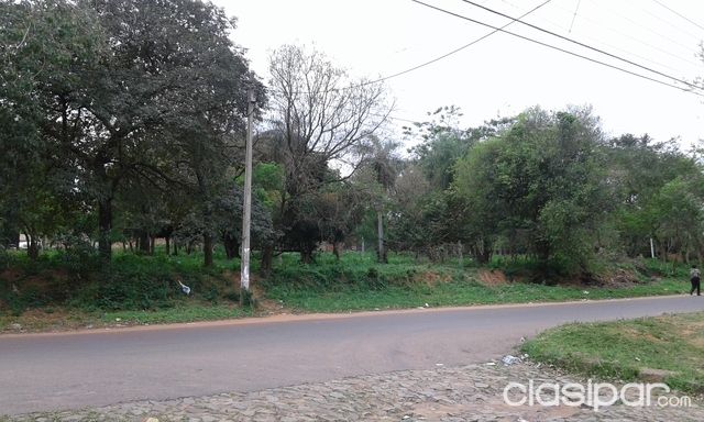 Terreno en Lambaré — foto 3