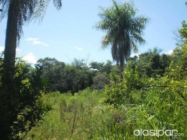 Terreno 9 Has 3.1820 mts2, 345 m2 cuadrados de terreno — foto 3