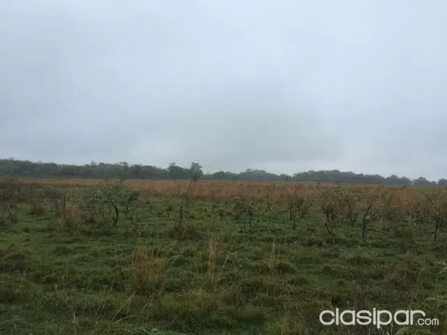 17 Has. en Paraguari — foto 2
