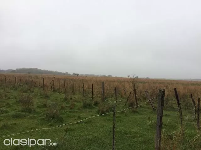 17 Has. en Paraguari — foto 2