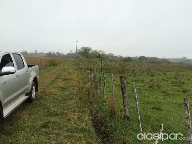 17 Has. en Paraguari — foto 3