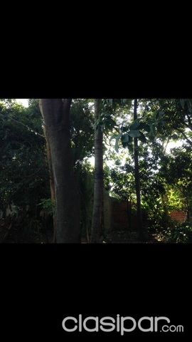 Terreno zona sur Fernando de la Mora — foto 2