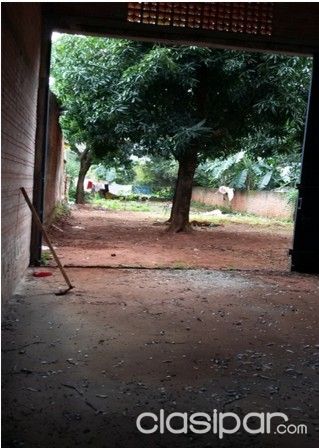 VENTA DE TINGLADO EN CAPIATA A ESTRENAR!!!! — foto 3