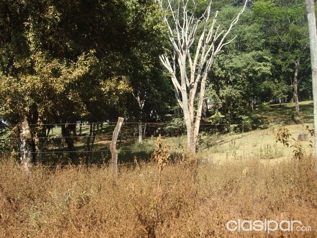 OFERTA VENDO TERRENO 4,5 HECTAREAS EN LOS CEDRALES - ALTO PARANÁ — foto 2