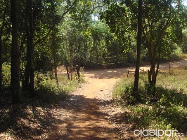 OFERTA VENDO TERRENO 4,5 HECTAREAS EN LOS CEDRALES - ALTO PARANÁ — foto 3