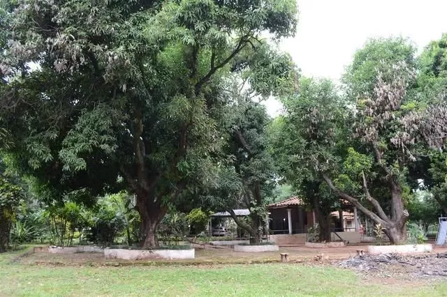 VENDO PROPIEDAD UBICACIÓN PREFERENCIAL RUTA 1 — foto 3
