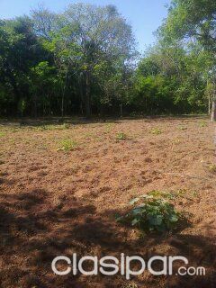 VENDOOOOO UNA HERMOSA GRANJA DE 17 HECTÁREAS EN YAGUARON — foto 3