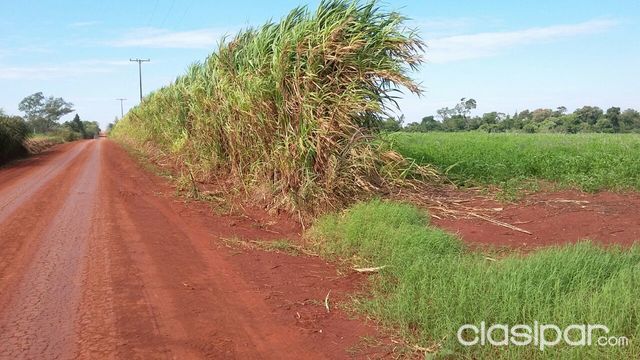 Vendo Propiedad Rural en Capitán Miranda – Itapúa — foto 2