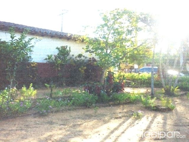 VENDO CASA CON AMPLIO PATIO EN BENJAMIN ACEVAL — foto 3