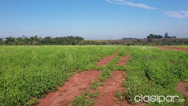 Propiedad Rural en Capitán Miranda – Itapúa - Py — foto 2
