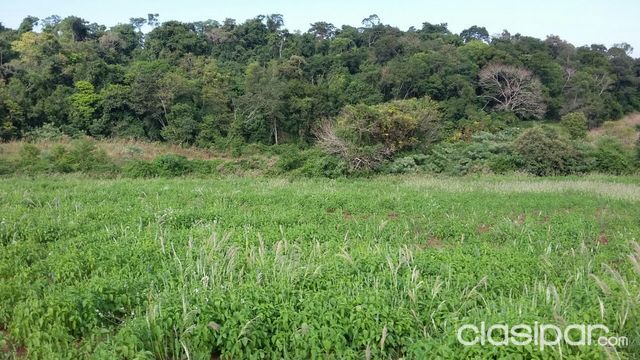 Propiedad Rural en Capitán Miranda – Itapúa - Py — foto 3
