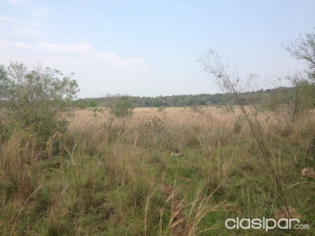 Se lo vendo — foto 3