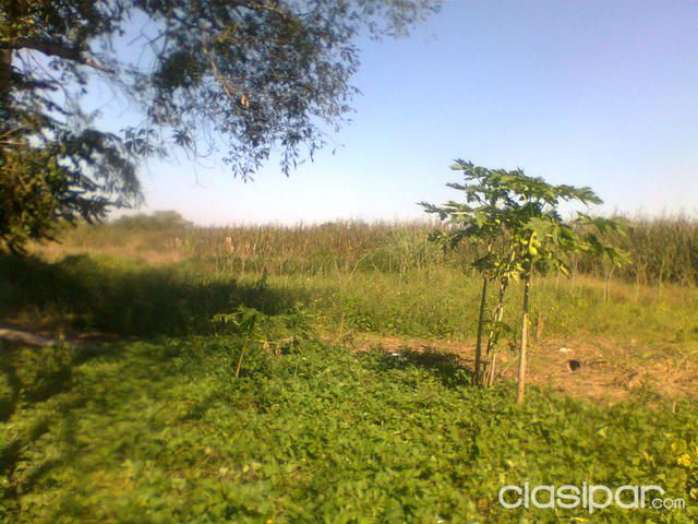 Vendo 45 hectareas en Paraguari — foto 2